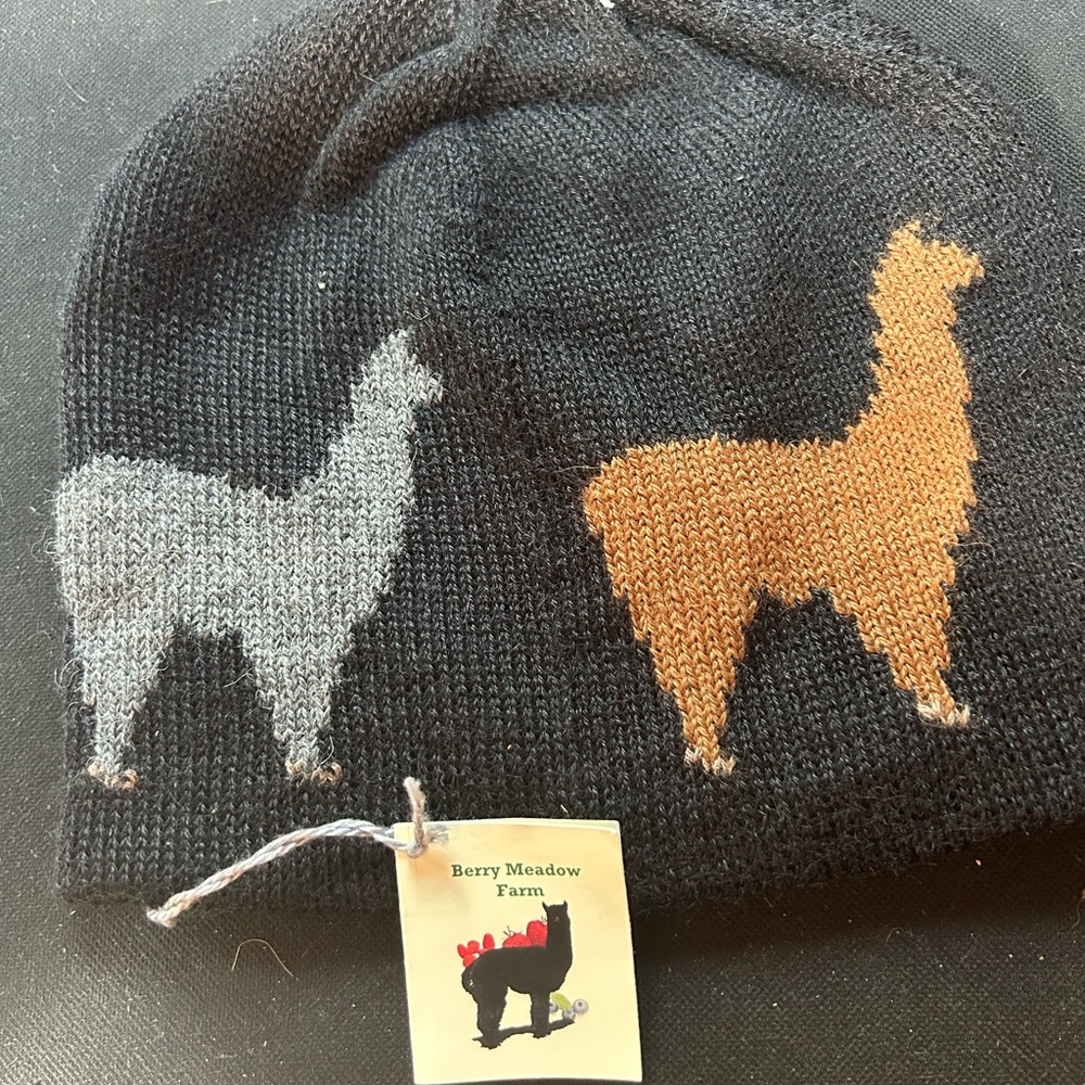 Black Knit Beanie with Alpaca Design